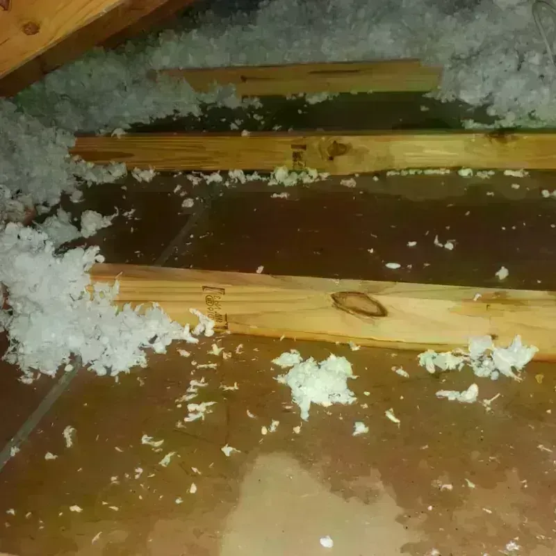 Attic Water Damage in Harlem, FL